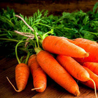 Russian heirloom vegetable seeds for backyard gardens