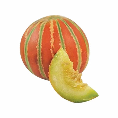 Brown Muskmelon Seeds for Planting