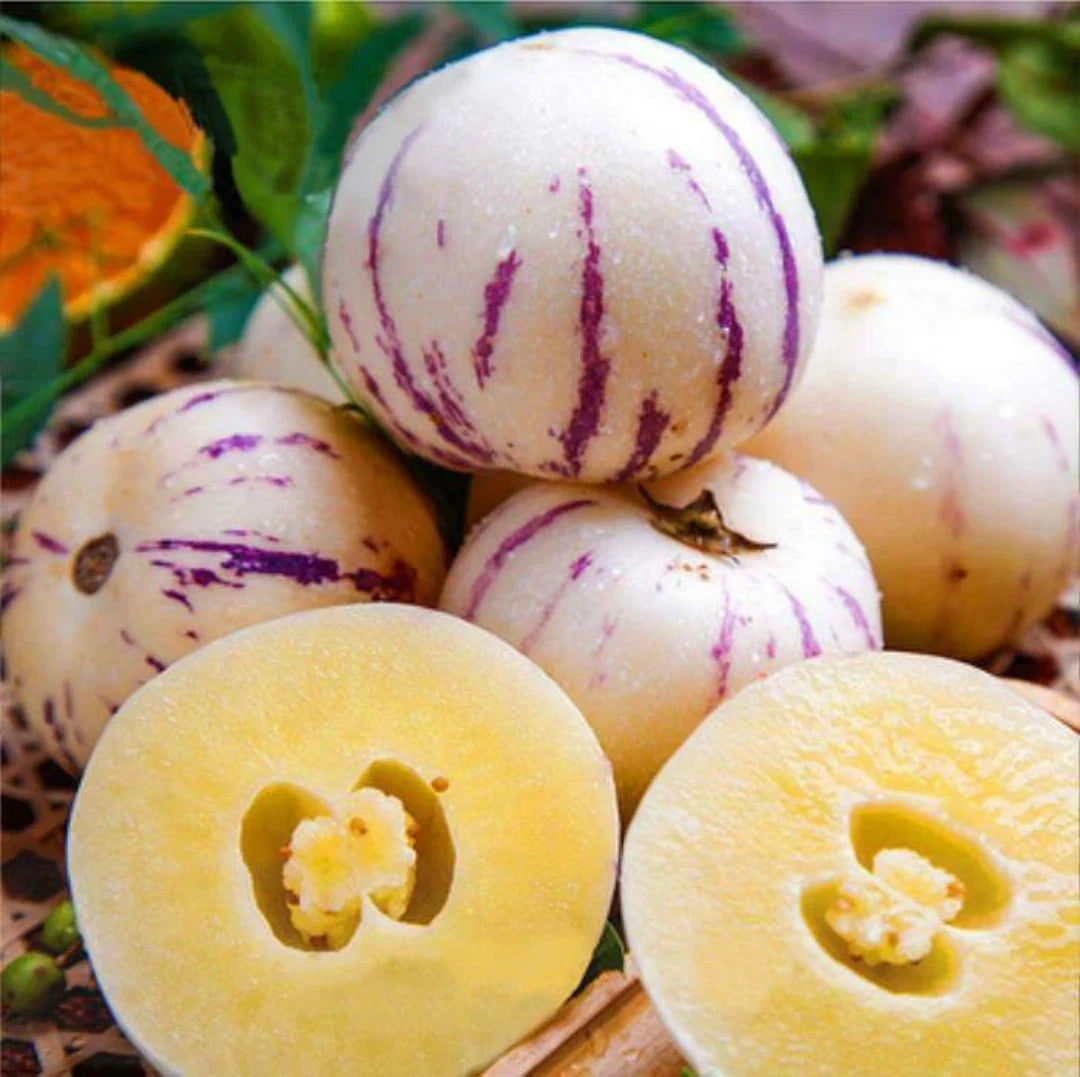 Muricatum Fruit Seeds for Garden Planting - Grow Juicy and Aromatic Fruits