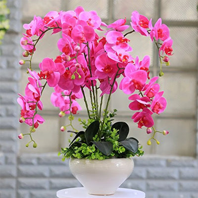 100 Pcs