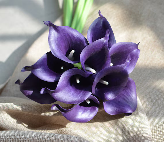 Deep Purple Calla Flower seeds for Planting - Cottage Garden Essential, Heirloom & GMO Free Seeds for Home Garden