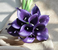 Deep Purple Calla Flower seeds for Planting - Cottage Garden Essential, Heirloom & GMO Free Seeds for Home Garden
