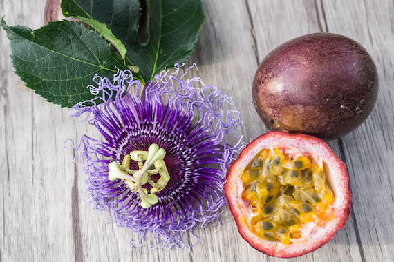 Purple Passiflora Edulis Seeds for Fruit Planting