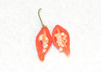 Chupetinha Pepper Planting Vegetable Seeds For Tiny Heat