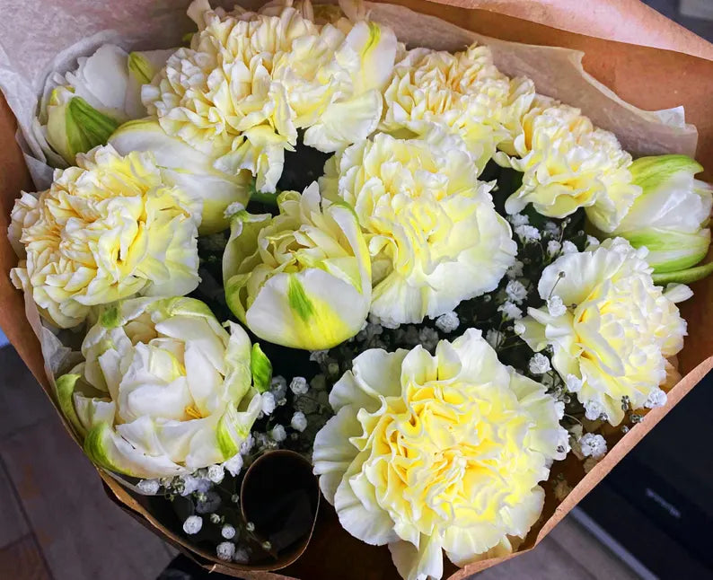 Cream Carnation Flower seeds for Planting Seasonal Bloomer Heirloom & GMO Free Seeds for Home Garden