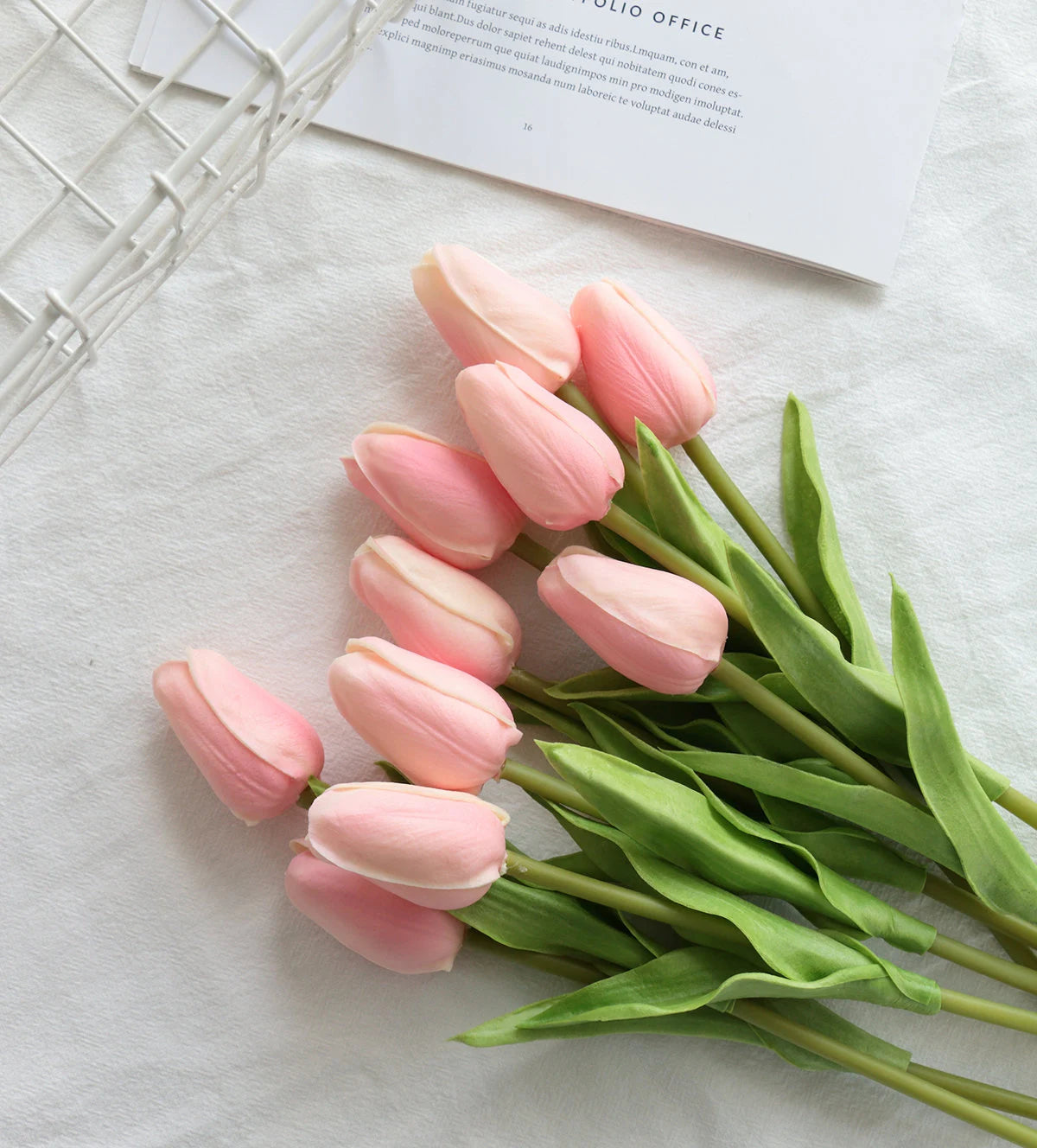 Baby Pink Tulip Flower seeds for Planting - Hardy Variety, Heirloom & GMO Free Seeds for Home Garden