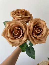 White and Brown Rose Flower seeds for Planting - Shade Tolerant, Heirloom & GMO Free Seeds for Home Garden