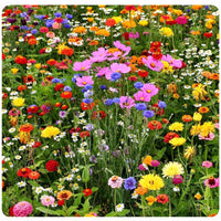 Mix nApple Blossom Flower seeds for Planting - Pollinator Friendly, Heirloom & GMO Free Seeds for Home Garden