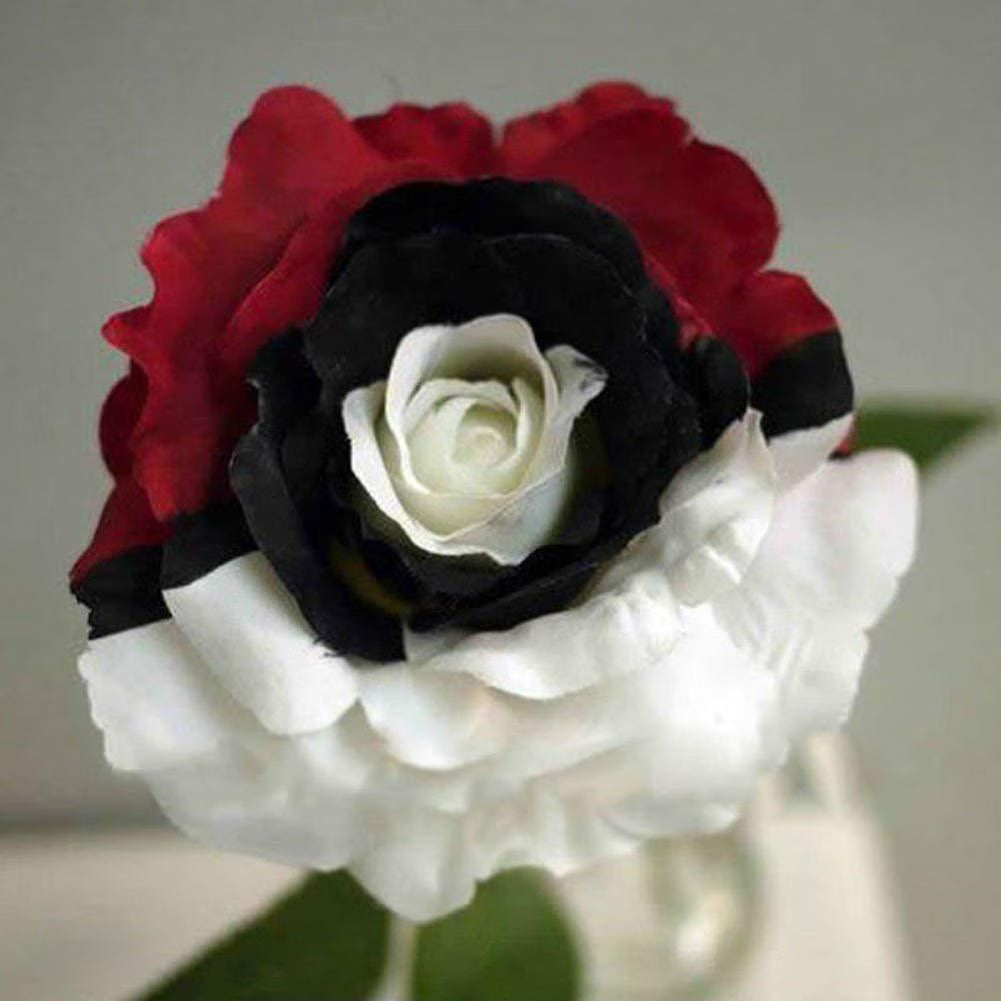 Black Pearl Rose Flower seeds for Planting - Drought Tolerant, Heirloom & GMO Free Seeds for Home Garden
 
 Sale