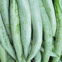 Green Snake Gourd Vegetable Seeds for Your Garden
