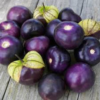 Tomatillo Fruit Seeds for Planting