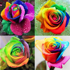 100 Pcs