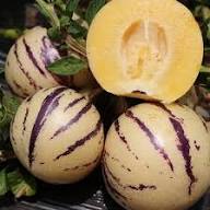 Pepino Dulce Melon Pear Seeds for Easy Planting