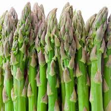 Green Asparagus Mary Washington Seeds for Perennial Planting