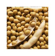 100 Pcs