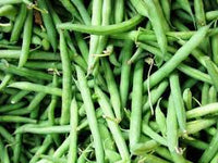 Blue Lake Pole Bean Seeds for Planting