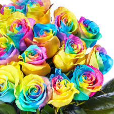 Multicolor Rose Flower seeds for Planting - Cottage Garden Essential, Heirloom & GMO Free Seeds for Home Garden