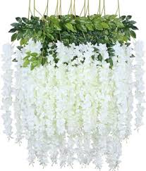 Silver Chandelier Seeds for Planting – Heirloom NonGMO Cottage Garden Essential Organic Garden Seeds with High Germination
 
 Sale