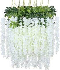 Silver Chandelier Seeds for Planting – Heirloom NonGMO Cottage Garden Essential Organic Garden Seeds with High Germination
 
 Sale