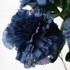 Carnation Black Flower seeds for Planting - Perfect for Borders, Heirloom & GMO Free Seeds for Home Garden