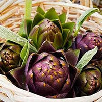 Purple Artichoke Vegetable Seeds for Planting