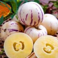 Pepino Dulce Melon Pear Seeds for Easy Planting