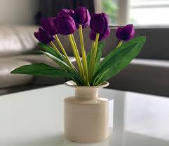 Dark Purple Tulip Flower Seeds for Planting Bright Blooms Heirloom & GMO Free Seeds for Home Garden
 
 Sale