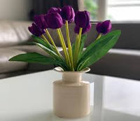 Dark Purple Tulip Flower Seeds for Planting Bright Blooms Heirloom & GMO Free Seeds for Home Garden
 
 Sale
