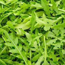 Green Rocket Salad Vegetable Seeds for Easy Planting