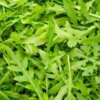 Green Rocket Salad Vegetable Seeds for Easy Planting