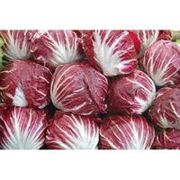 Red & White Radicchio Vegetable Seeds for Planting