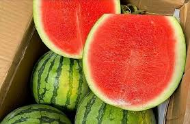 Mountain Hoosier Watermelon Seeds for Planting - Sweet & Juicy Fruit