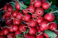 Red Turnip Seeds for Your Vegetable Garden