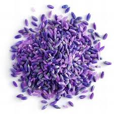 White Lavender Flower Seeds for Planting Garden Favorite Heirloom & GMO Free Seeds for Home Garden
 
 Sale
