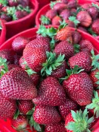 Strawberry Fruit Seeds Burgundy for Planting: High-Quality Seeds for Delicious Homegrown Strawberries