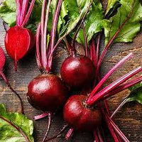 Red Beetroot Seeds - Perfect for Planting