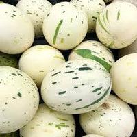 White Leopard Melon Vegetable Seeds for Planting - Seed for Unique and Flavorful Harvests in Your Garden