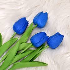 Dark Blue Tulip Flower Seeds for Planting Shade Tolerant Heirloom & GMO Free Seeds for Home Garden
 
 Sale
