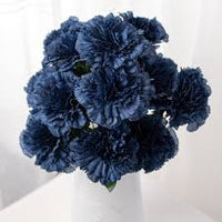 Carnation Black Flower seeds for Planting - Perfect for Borders, Heirloom & GMO Free Seeds for Home Garden