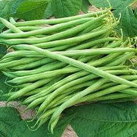 White Bean Planting Seeds for Your Garden