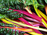 Pink Green Swiss Chard Vegetable Seeds for Garden Planting