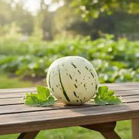 White Leopard Melon Vegetable Seeds for Planting - Seed for Unique and Flavorful Harvests in Your Garden