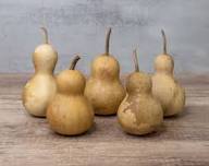 Kettle Gourd Seeds for Planting Large Fruits