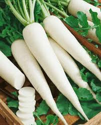 Minowase Vegetable Seeds for Planting