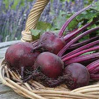 Red Beetroot Seeds for Planting - Grow Delicious Vegetables
