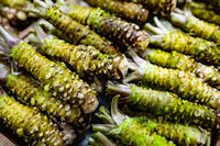 Wasabi Vegetable Seeds for Planting