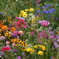 Wikipedia Flower seeds for Planting - Wildflower Mix, Heirloom & GMO Free Seeds for Home Garden