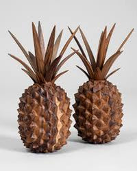 Brown Pineapple Seeds for Planting  Grow Your Own Fruit