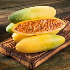 Orange Banana Passion Fruit Seeds for Planting Tropical Garden Delight