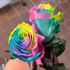 Multi-Color Rose Seeds: Ideal for Stunning Planting Displays